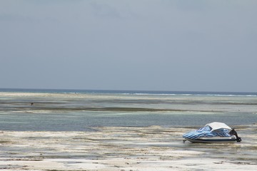 Fototapeta na wymiar Zanzibar (Tanzania) beach during low tide with a speed boat