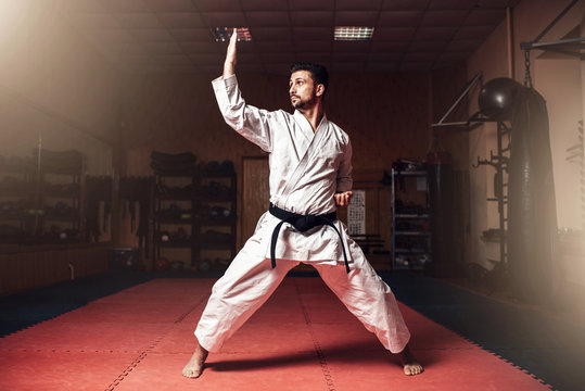 Martial arts master on judo training in gym