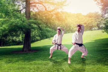 Martial arts masters training in summer park