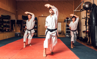 Martial arts, fight training in action © Nomad_Soul