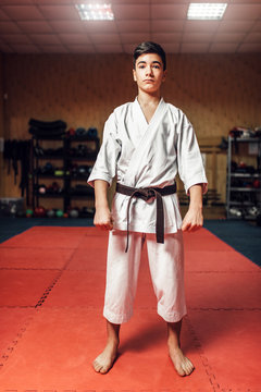 Martial arts, young fighter, black belt