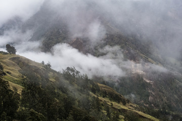 Fototapeta premium a vast mountain cover with the fog from Rinjani, Indonesia