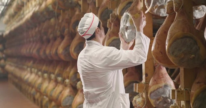 In a ham factory, a man in charge of quality control walks between the hams and controls, the perfume and the certified Italian quality. Concept of: tradition, Italy, food, ham