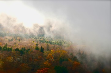 Fototapeta premium 箱根