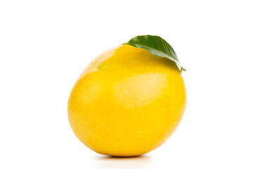 Ripe yellow Mango fruits isolated white background