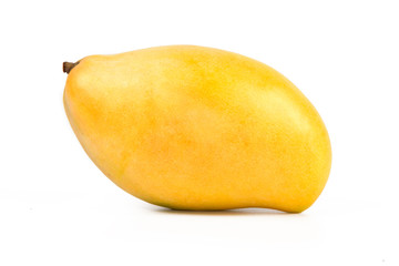 Single yellow mango isolated white background