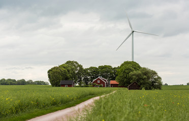 a road through field to a houses among trees with a windmill behind