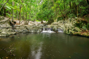 Waterfalls and cascades in Queensland’s Springbrook National Park. The Cougal Cascades track follows Currumbin Creek alongside a series of rock pools and small waterfalls. Gold Coast, Queensland.