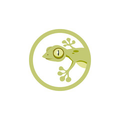 gecko logo vector graphic design abstract download