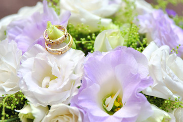 Close-up of wedding rings