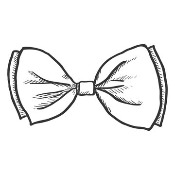 Vector Single Sketch Butterfly Bowtie