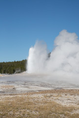Geyser