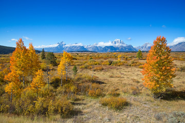 Grand Teton