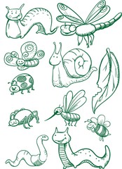 Insects set. Drawn insects set / Creative conceptual vector. Drawn insects set.