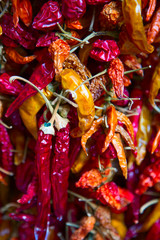 Fototapeta premium Chili pepper