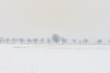 Fototapeta na wymiar Winter landscape, cultivated fields covered with snow.