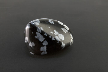 Beautiful mineral snowflake obsidian or volcanic glass on gray background