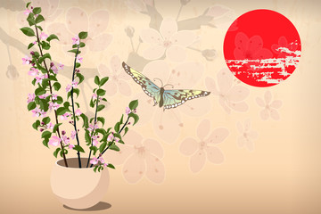 Sakura, cherry blossom with butterfly