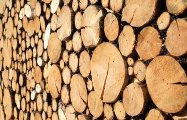 timber for background