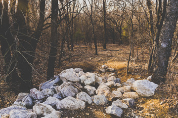 A pile of stones in the Texas forest on a sunny evening in February