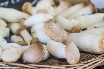 closeup of healthy fresh shiitaki mushrooms gathered in basket