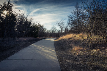 Concrete path in a city park with shadows from trees on a sunny February evening in Texas