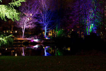 Lichtspiegelungen im See