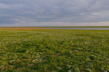 Fototapeta na wymiar colorful spring steppe near salt lake at sunset Manych-Gudilo, Kalmykia