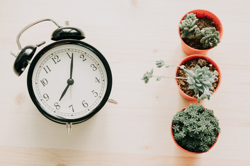 top view. clock and plant placed on wooden background with copy space. image for business, time, object, isolated, decoration, plant, nature, garden concept