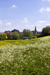 View across fields to historic Malmesbury Abbey and the town in spring sunshine in the Cotswolds,Wiltshire, UK