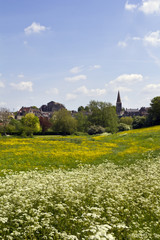 View across fields to historic Malmesbury Abbey and the town in spring sunshine in the Cotswolds,Wiltshire, UK