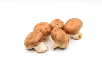 Brown Mushrooms on a White Background