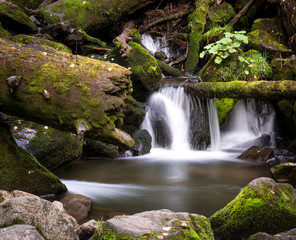 Beautiful fairy mountain waterfall in a fairy forest among rocks at sunset