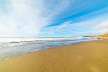 Fototapeta na wymiar Golden shore in central California