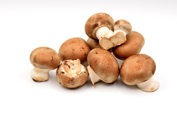 Brown Mushrooms on a White Background