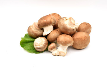Brown Mushrooms on a White Background