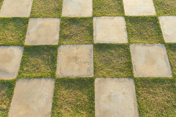A square of green grass and white concrete patio stones square in outdoor decoration, Grass checkered floor, the evening sunlight 