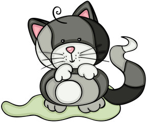 Cute gray cat
