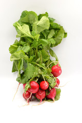 Red Radish on White Background