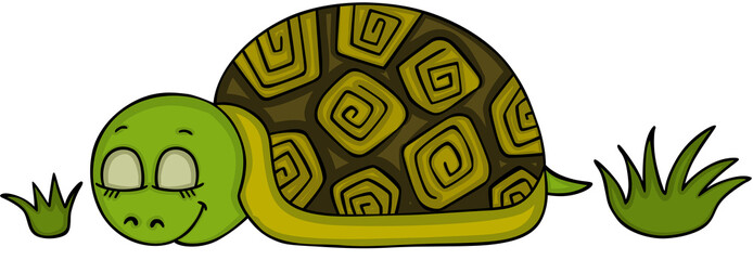 Fototapeta premium Ładny żółw śpi