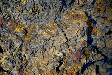 rock over the forest against a white snowy sky
