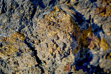rock over the forest against a white snowy sky