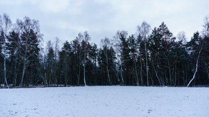 frozen country side by the forest covered in snow