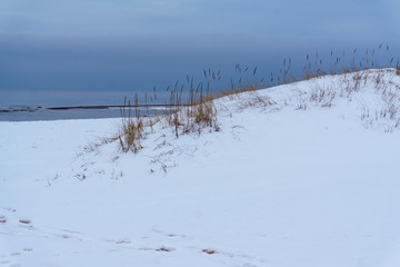 frozen country side by the sea