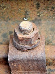 old rusty screw