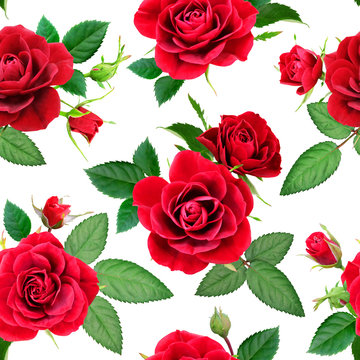 Seamless pattern from red roses on a white background, photorealistic collage.