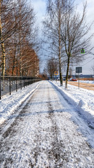 The path is cleaned from snow, in winter the snow is cleared on the asphalt in the city. A cleared road for passers-by.