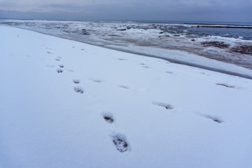 Frozen ice crystals on the sea beach