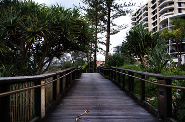 boardwalk1