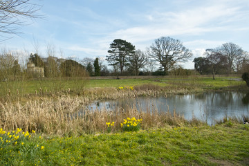 The village green, reputedly the longest in England, in spring sunshine, Frampton on Severn, Gloucestershire, UK